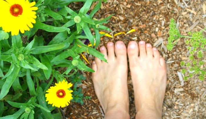 barefoot gardener