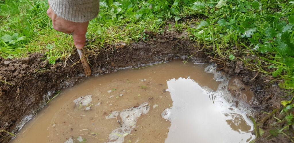measuring the drainage test to assess how fast the water is draining