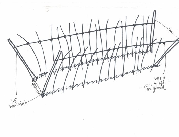 rasperry trellis