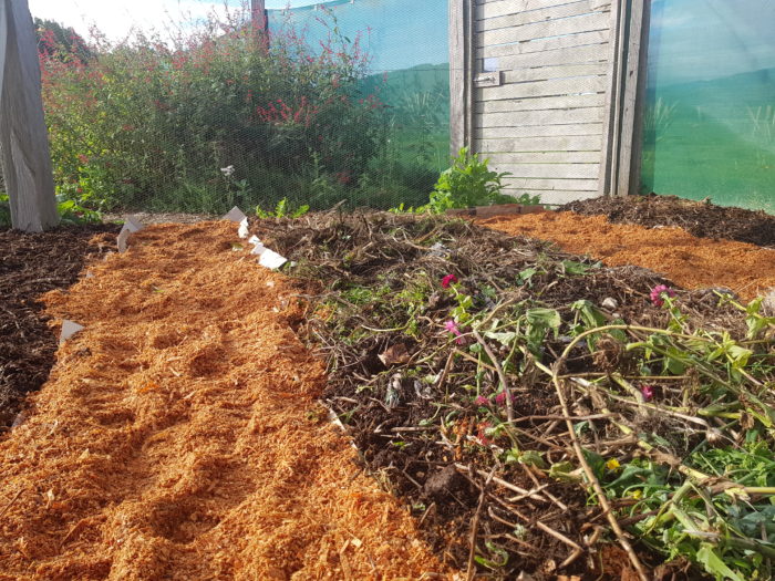 fresh sawdust