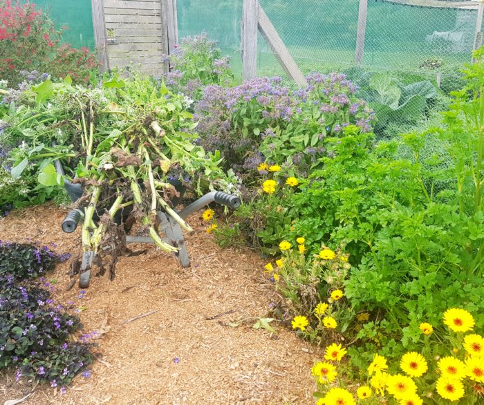 mulch harvest