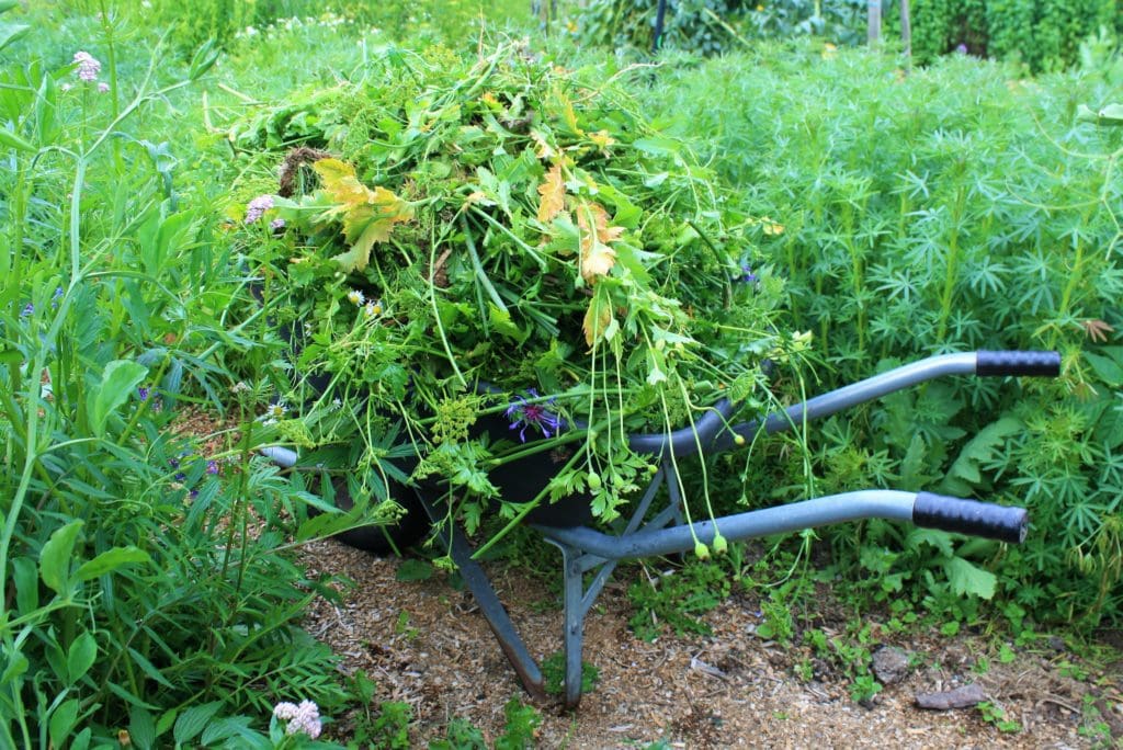 path clearings mulch