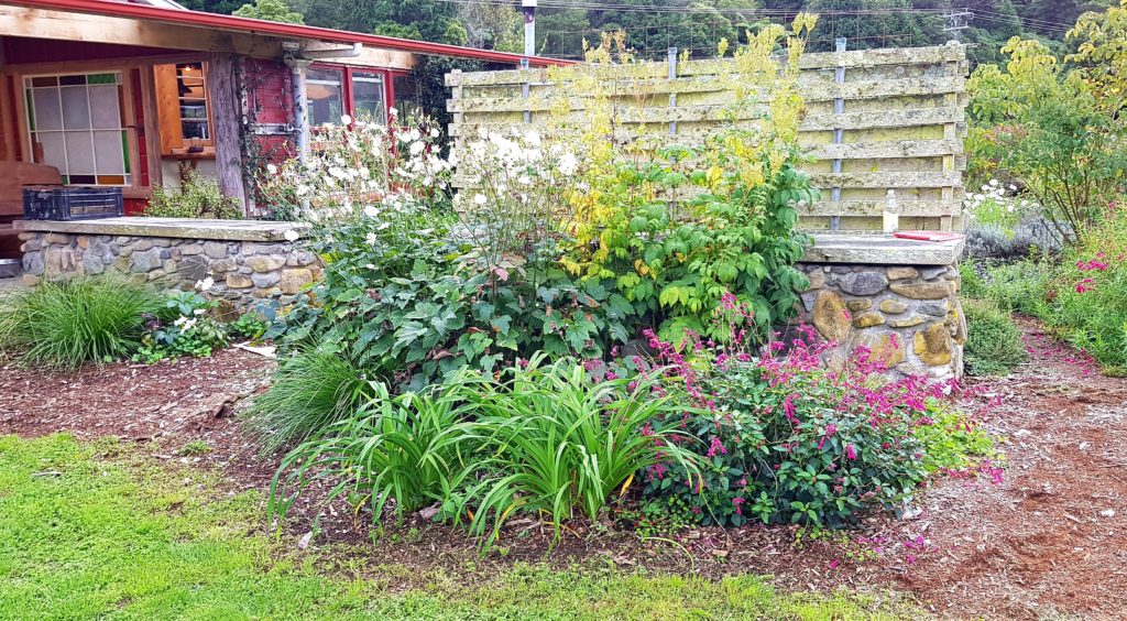 Planting up the lawn at edible backyard