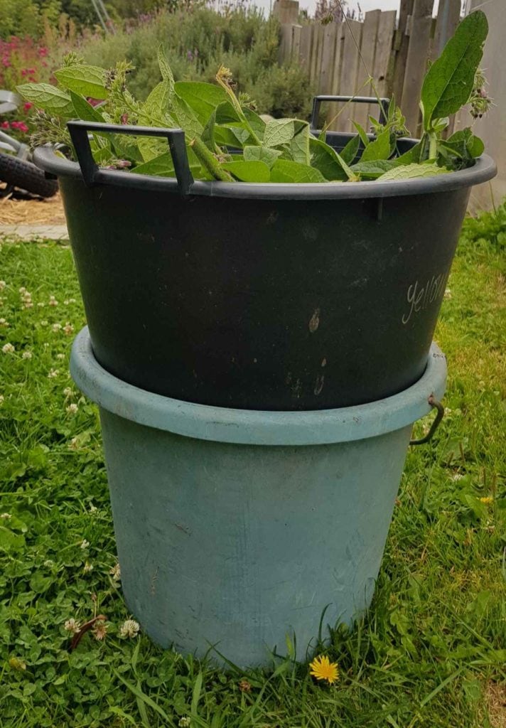 How to make liquid feed Sit the bucket of comfrey in another bucket to catch the liquid Ediblebackyard NZ