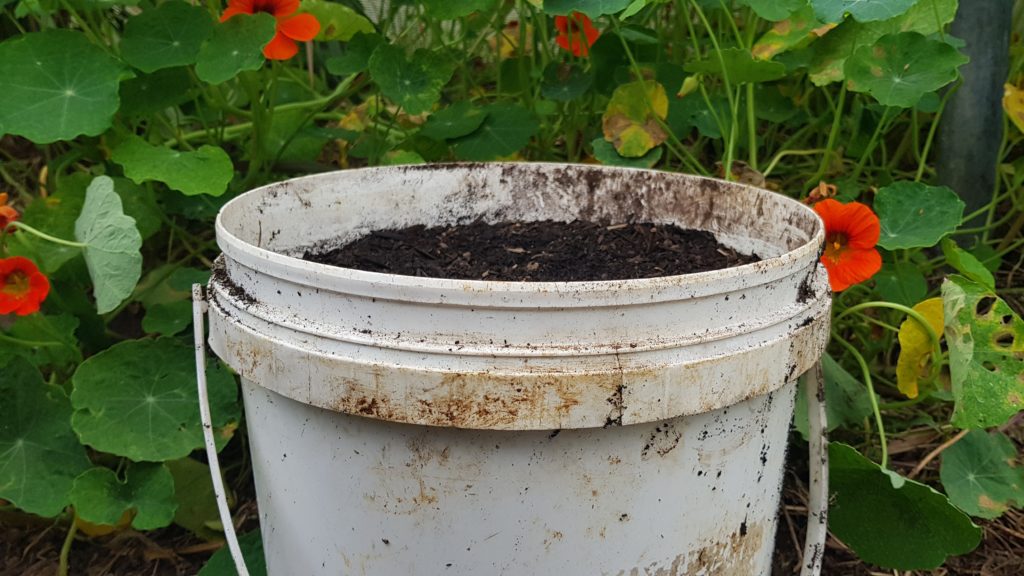 leave a lip when you fill your container ediblebackyard nz