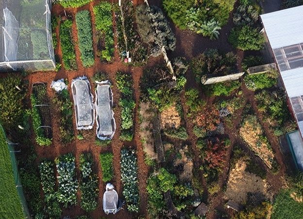 Drone shot of edible backyard nz