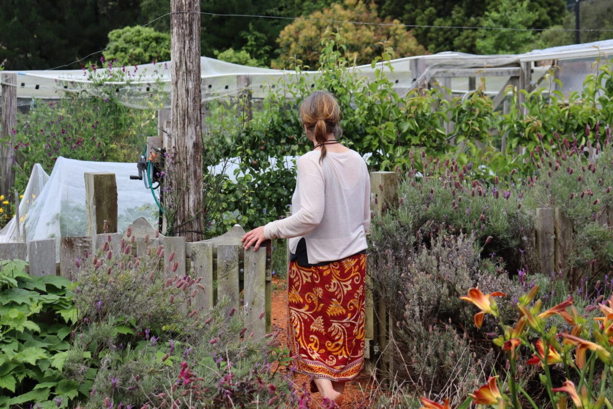 walking in the gate to the vegie patch at ediblebackyard