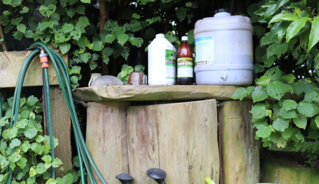 Em molasses and fish to make a biological brew for the soil