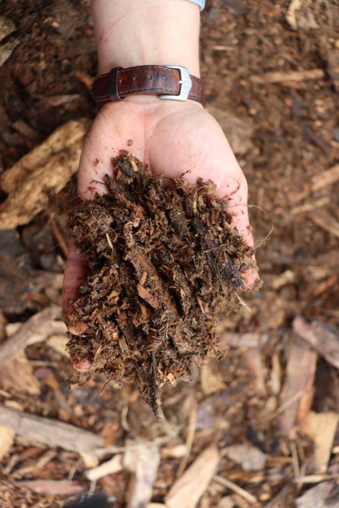 Nicely rotted woody mulch ready to plant into