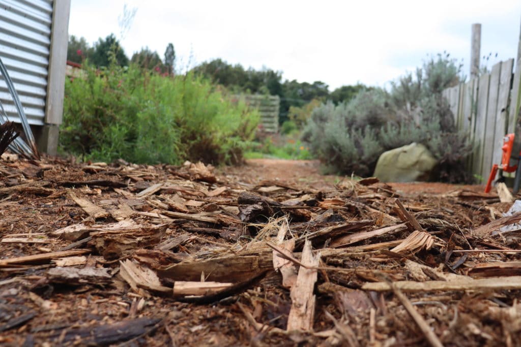 Woody mulch - scrapings from beneath last years wood stack