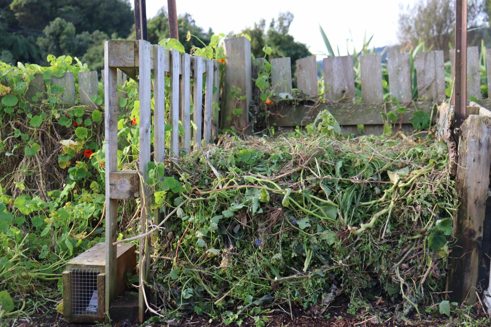 a simple pallet compost bin