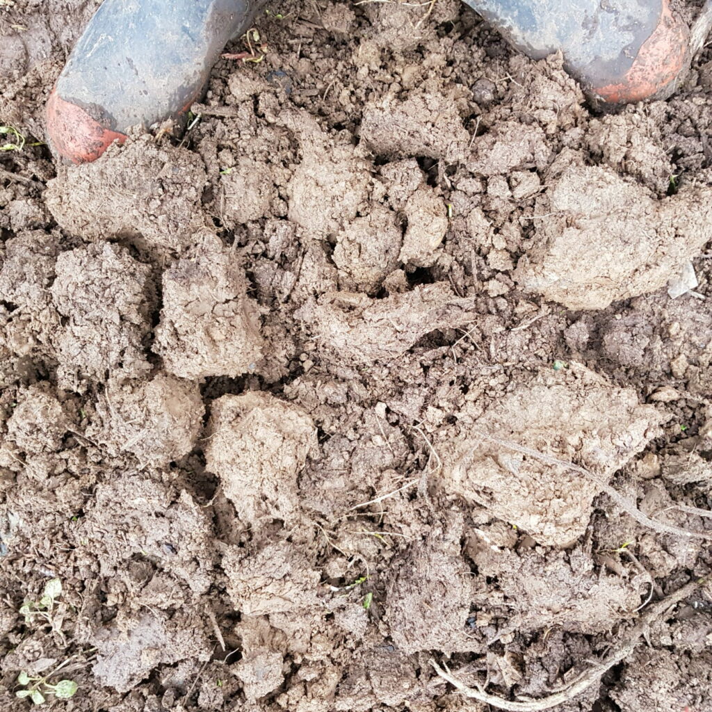 heavy claggy clay is best left alone until it dries outtion