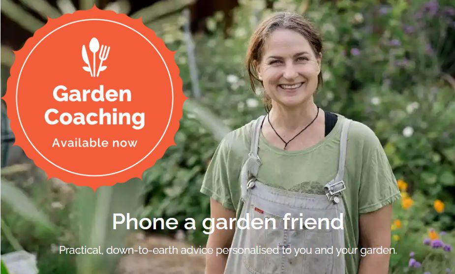 Garden coaching, advice and consults available with Kath Irvine of Edible Backyard